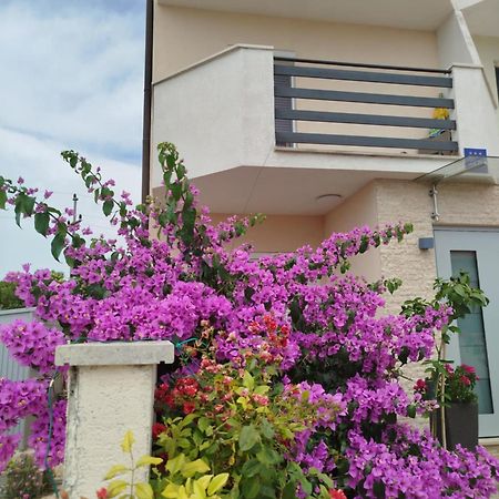 Smokvica Apartment Savudrija Exterior photo