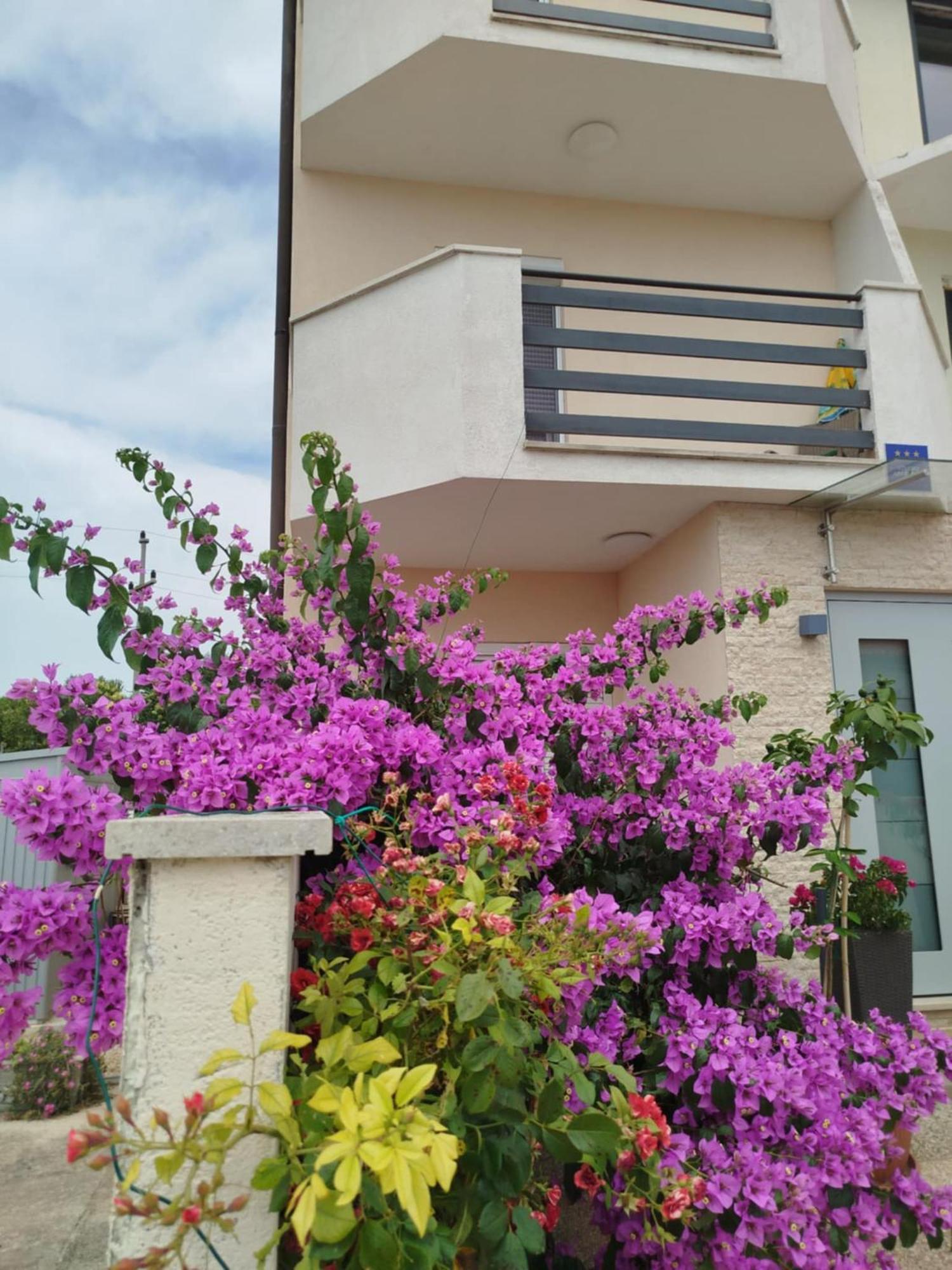 Smokvica Apartment Savudrija Exterior photo